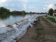 2006